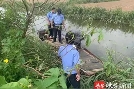 射阳警方快速查处一起擅自安装、使用电网麻鱼案件图片
