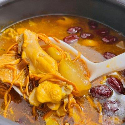 花胶可以煮乌鸡吗 2026年花胶可以煲乌鸡吗
