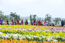 打卡丨国庆假期过半，你还没来太平湖打卡吗？图片