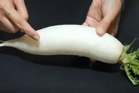 青白萝卜差别大，牢记别弄错，菜农教您5招，个个不糠心，水分足图片