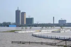淯水卷浪书忠诚——河南省新野县防范应对9.25特大洪水纪实图片