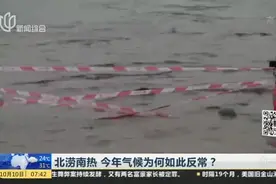 北涝南热  今年气候为何如此反常？视频封面