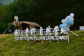 青岛森林野生动物世界：园区不太野 管理倒挺野图片