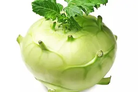 家乡的苤蓝菜图片