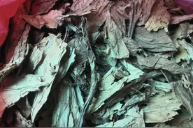 烟叶怎么卷烟图片