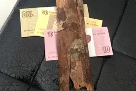 这些年我从安哥拉带回国的那些藏品中的纸币、木雕与树皮（1）图片