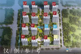 杭州上新啦，粉盘一口气推620套图片