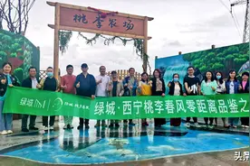 初鉴绿城 终遇美好，绿城西宁桃李春风品牌零距离品鉴之旅优雅落幕图片
