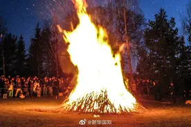 为防止市民聚集，瑞典一市在中央公园倾倒一吨鸡粪图片