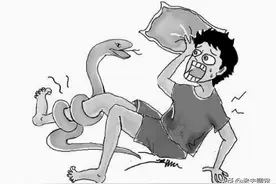钻被窝咬人？长相大众如何区分？中国十大毒蛇之原矛头蝮图片