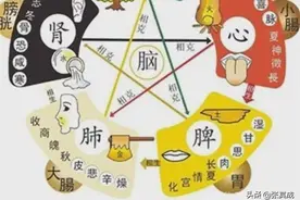 五行与万物｜《黄帝内经》中的象数思维图片