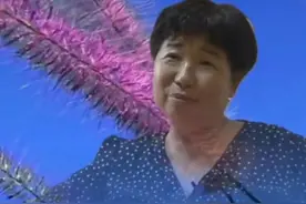 杜妈回应房产自己不插言，网友说：何必对孤儿寡母赶尽杀绝算不算图片