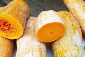 南瓜越老越好吃，看准这个部分，挑的老南瓜，面又甜