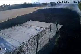 爸带娃做实验，烧毁草坪一片图片