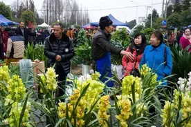 都江堰市的春台会注定与众不同！图片
