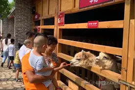 乐游十一│亲子游来这些地方，陪伴孩子小长假嗨玩图片