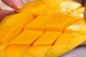 不食贵妃芒，怎知贵妃美？图片