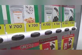 日本卖炸虫子和二手内裤的自动售货机，能有多奇葩？图片