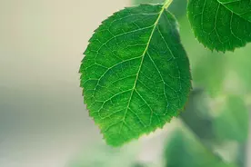 过了中年还有异性对你主动，未必是好事图片