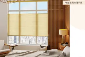 蜂巢帘——洞察生活的本意图片