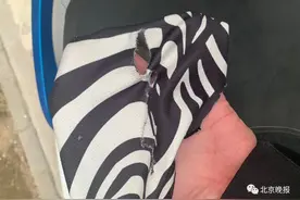 惊险！北京一骑车男子被风筝线割伤，头盔卡扣带和脖套被割断图片