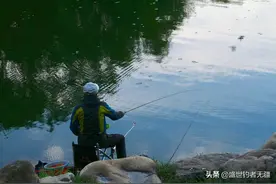 鲢鳙鱼原来这么易钓！用这个钓法，两个小时装满两个鱼护图片