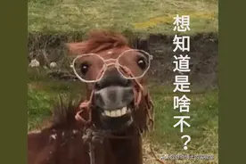 11个奇奇怪怪的微信隐藏玩法（含撩妹教程）图片