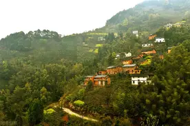 每天消失460多个自然村？央媒：城镇化提升，不准强迫农民上楼图片