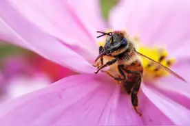 手机摄影的三板斧，这才是拍好照片的关键，顶级高手也不例外图片