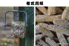 过去的发明有多奇葩？细数来自过去的8个你不会想使用的奇怪发明图片