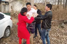 婚礼上，伴娘遭婚闹，新郎：忍忍吧！新娘怒撕婚纱：不道歉就离婚图片