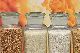 真全粮张思漫：酿酒技术-“春酿”酒是最好的，因为……图片