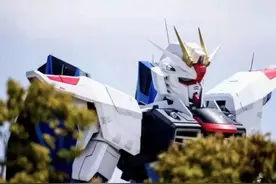 上海1：1自由高达组装完成，果然机甲才是男人的浪漫图片