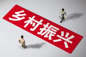 找准“金钥匙”！惠州市属国企奏响乡村振兴帮扶“进行曲”图片