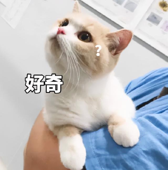 “口渴、恶心反胃、心慌！”这款减肥咖啡有毒，千万别碰！