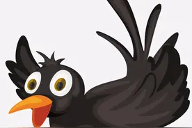 乌鸦不吉利？成群乌鸦出现背后的科学原因，一文了解高智商乌鸦图片