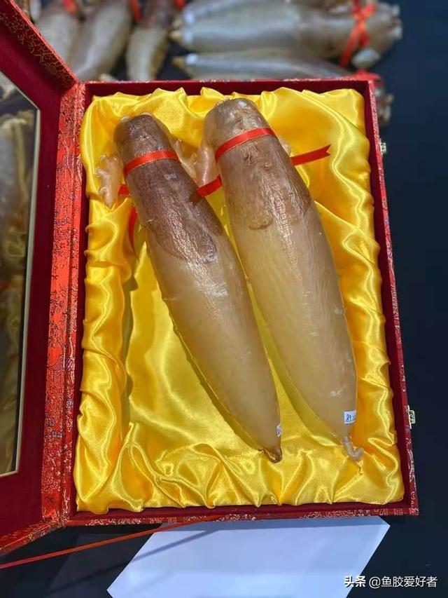 花胶一般吃四天隔三天吗 2025年花胶隔几天吃一次