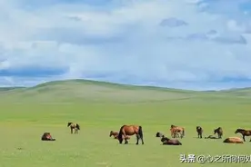 连这些都不知道，劝你最好别去内蒙古图片