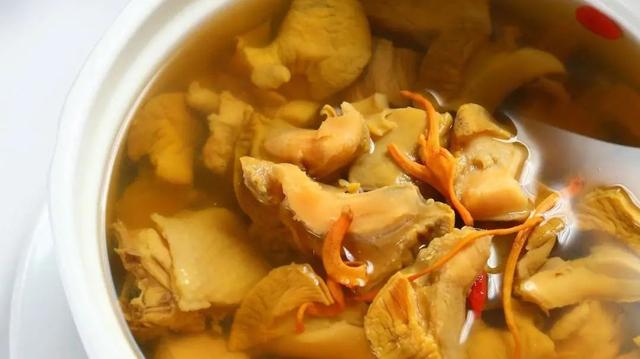 响螺肉花胶鸡汤的做法 2026年花胶响螺肉汤的作用