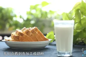 关于牛奶，你需要了解的都在这里图片