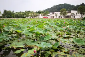 里面，在你们家乡话中怎么说？（“闲话方言词”之112）图片