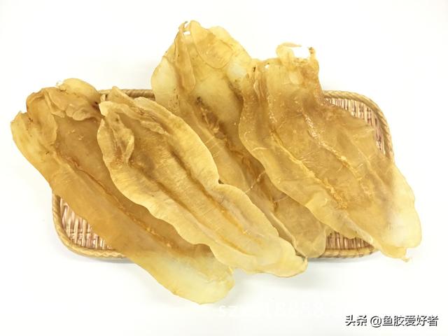 小金龙花胶价格 2026年小金龙花胶价格及图片