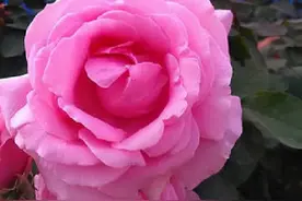 男人爱你到最深处，会有三个与众不同的反应，不爱你的装不出来图片