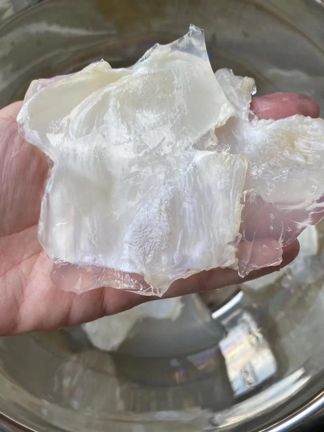 蝴蝶胶同花胶筒那种好 蝴蝶胶和白花胶的区别 蝴蝶胶同花胶筒那种好 蝴蝶胶和白花胶的区别