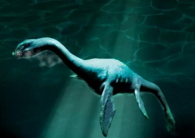 上千人目睹的"尼斯湖水怪",有照片有视频,真是恐龙后代?