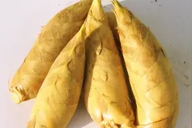 处理冬笋很简单，只需一招，做好的冬笋美味好吃没涩味视频封面