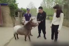 送礼送到心坎里 郭德纲送了什么让于谦如此感动图片