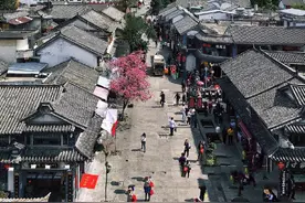 花开满城，春光泄漏——暖风吹过的大理古城。图片