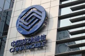 揭秘西宁移动总经理刘垚：负责过人力去年从省公司政企部门调任图片