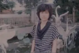 铁娘子董明珠心酸往事：20年不和哥哥来往，拒绝和90岁母亲同住图片